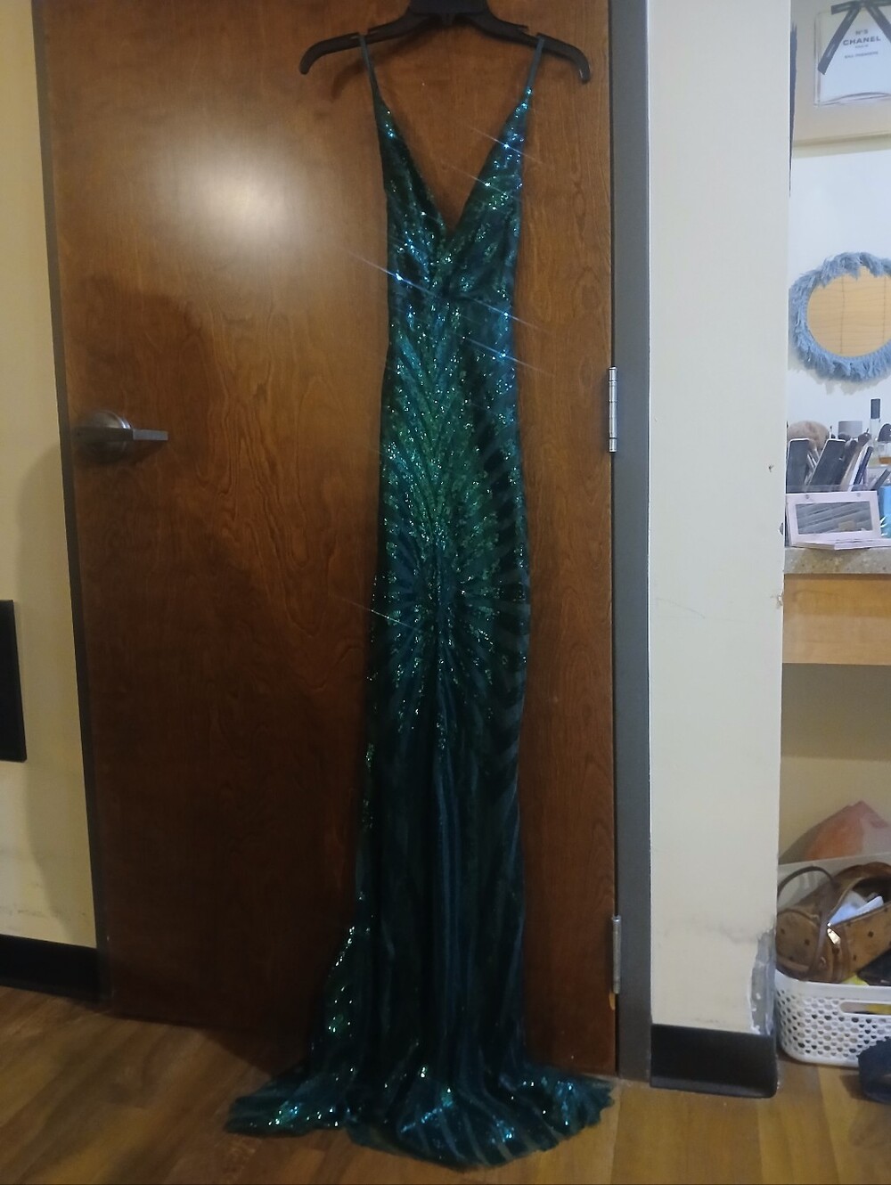 NWOT/ green embellished sequin maxi dress